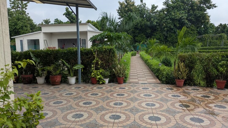 undefined, sector 135  5000 Sq.Ft. Plot In Sector 135 Noida 9071679