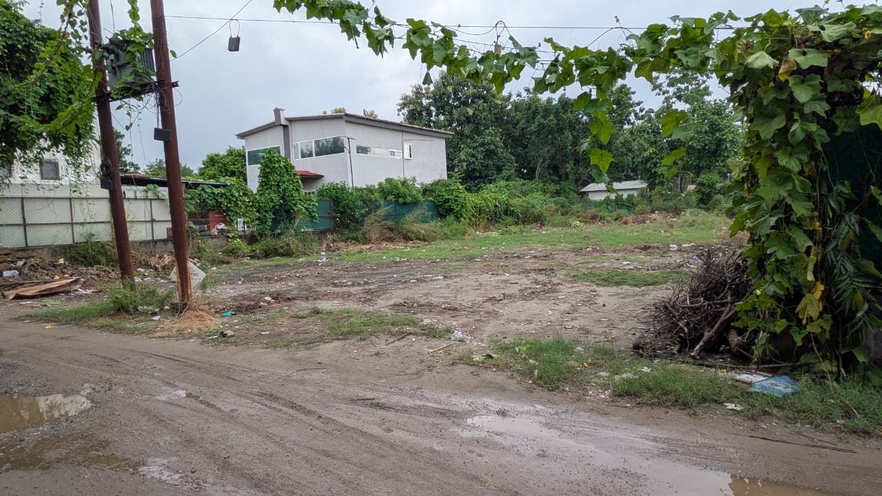 Plot For Sale in Sector 135