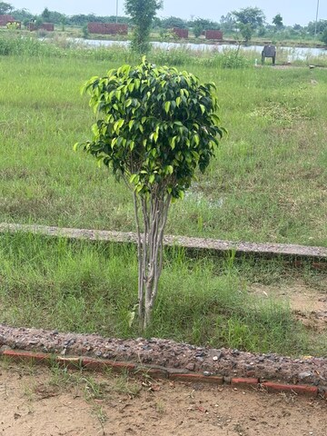  Plot For Sale in Barsana