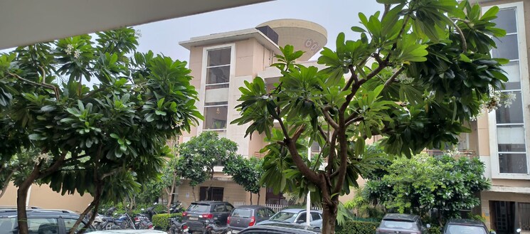 Exterior View, bptp-parkland-pride 3 Bedroom 1050 Sq.Ft. Builder Floor In Sector 77 Faridabad 9071680