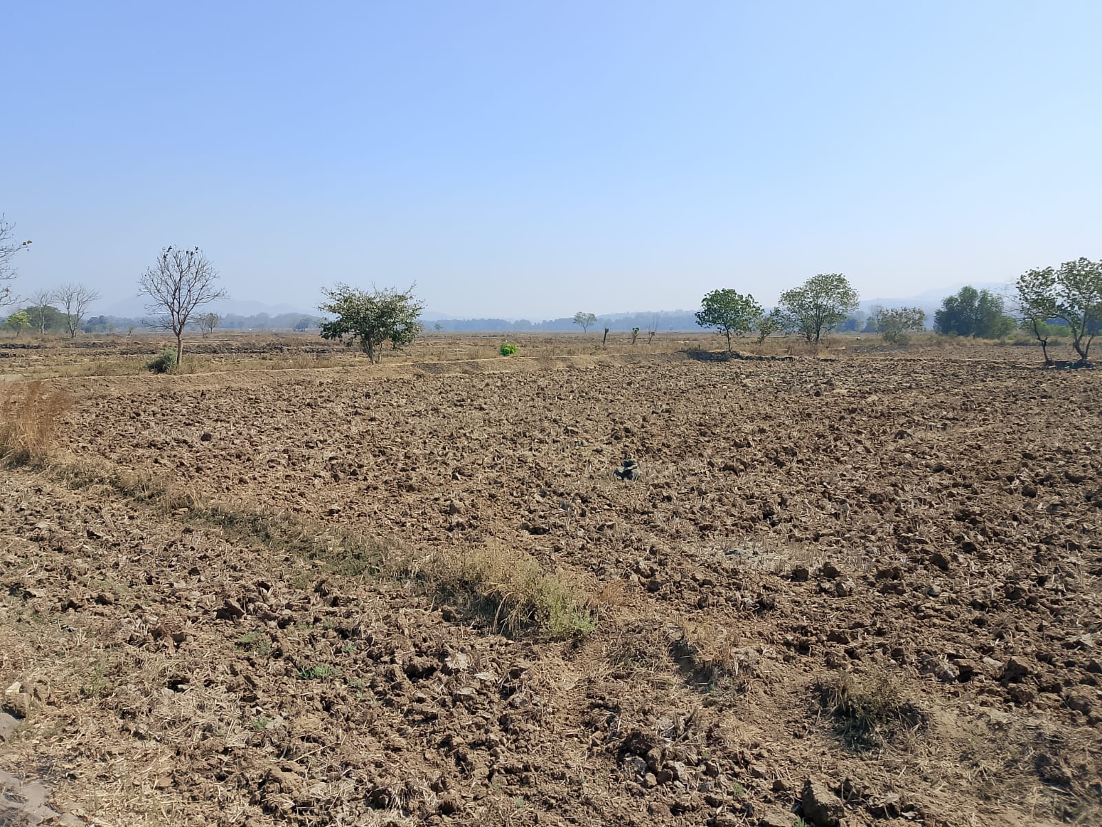 Land For Sale in Commercial Plot 