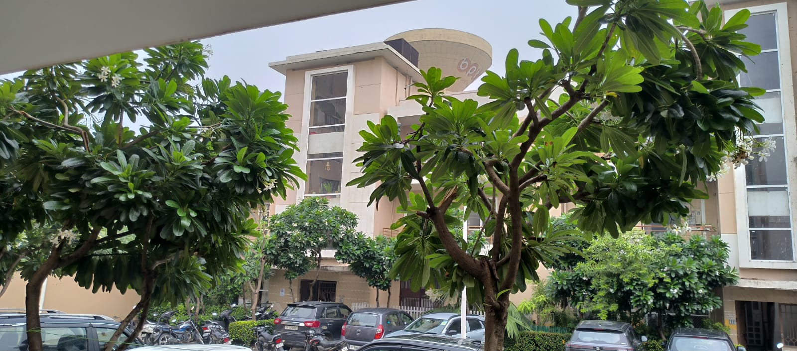 4 BHK + Pooja Room Builder Floor For Sale in BPTP Parkland Pride