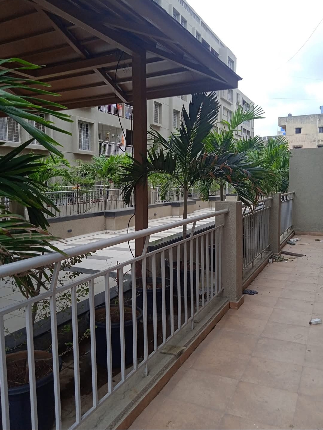 3 BHK Apartment For Rent in Mantra 29 Gold Coast