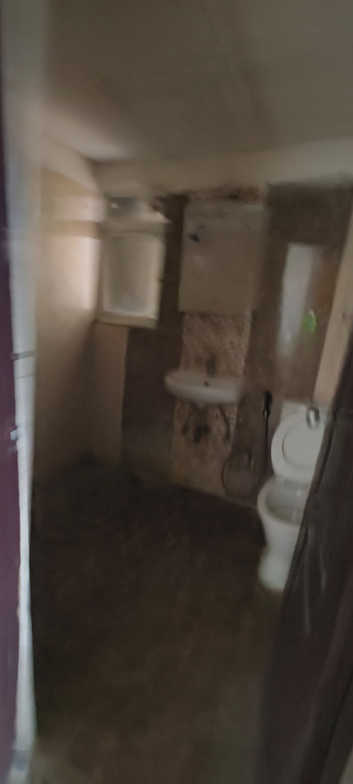 2 BHK Apartment For Rent in JNC The Park