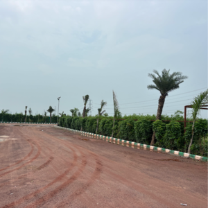  Plot For Sale in Jaganpur Afzalpur