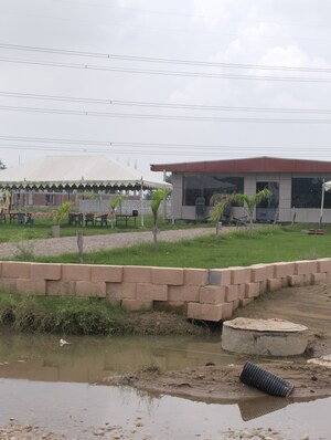  Plot For Sale in Anand Enclave, Tonk Road