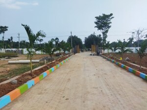  Plot – Exterior View View at Bhogapuram - for Sale