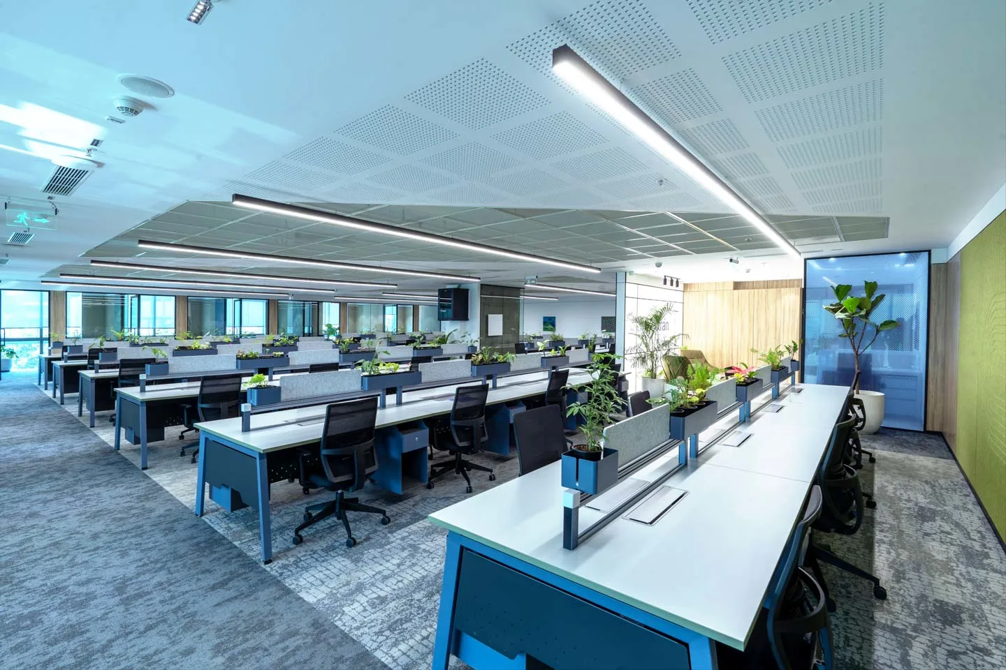 Office Space For Rent in Which Floor Realty