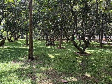 2 BHK Apartment – Garden View at Rohan Upavan, Hennur - for Rent