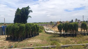  Plot For Sale in Thiruverumbur