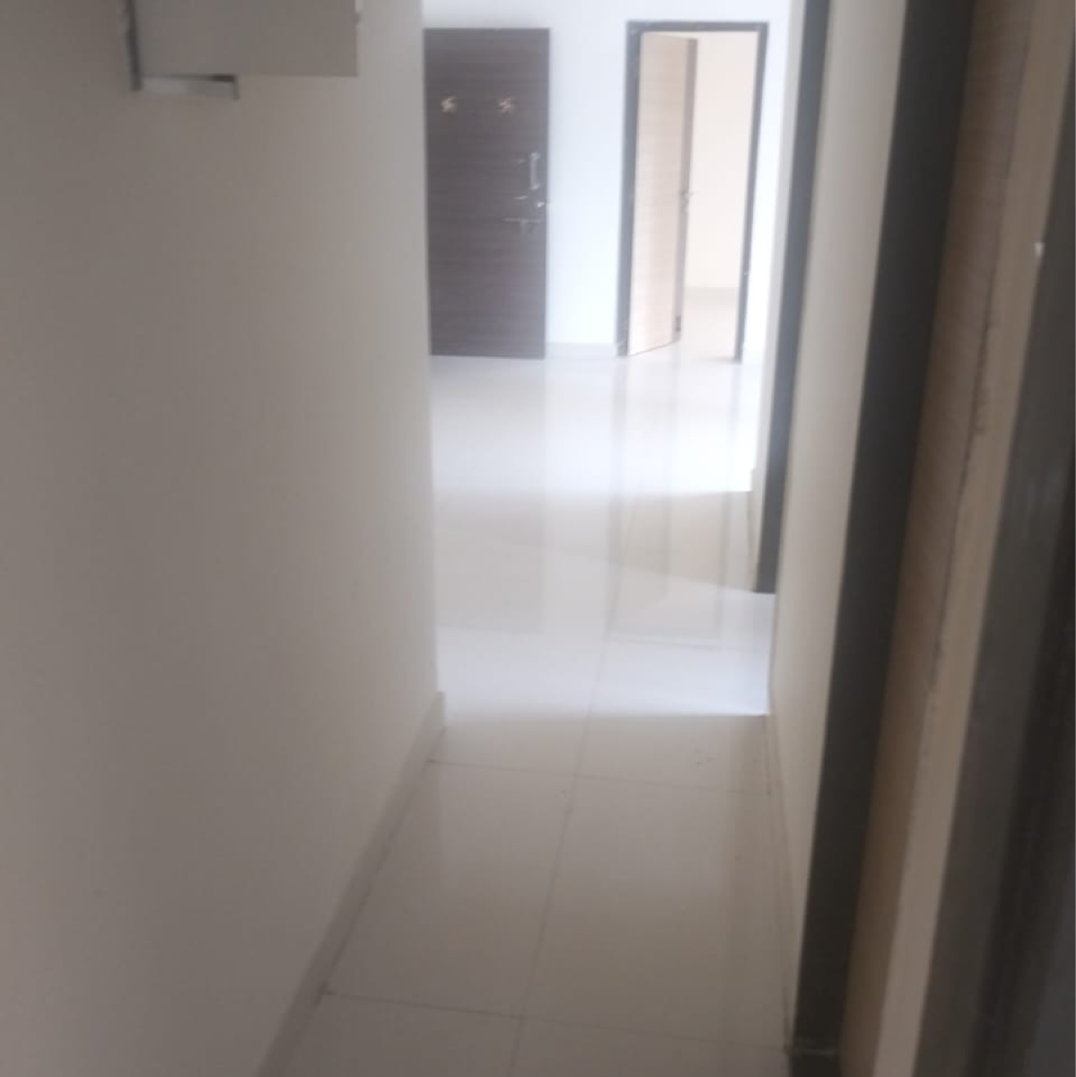 2 BHK 727 Sq.Ft. Apartment in Roswalt Raya