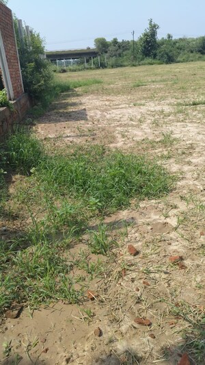  Industrial Plot For Sale in World Square Mall, Loni Industrial Area