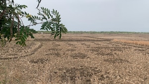 Plot Area in  Plot at Uran – for Sale