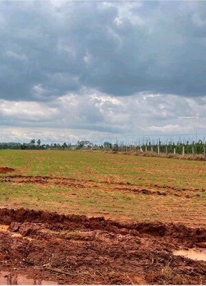 Plot Area in  Land at Rajanukunte – for Sale