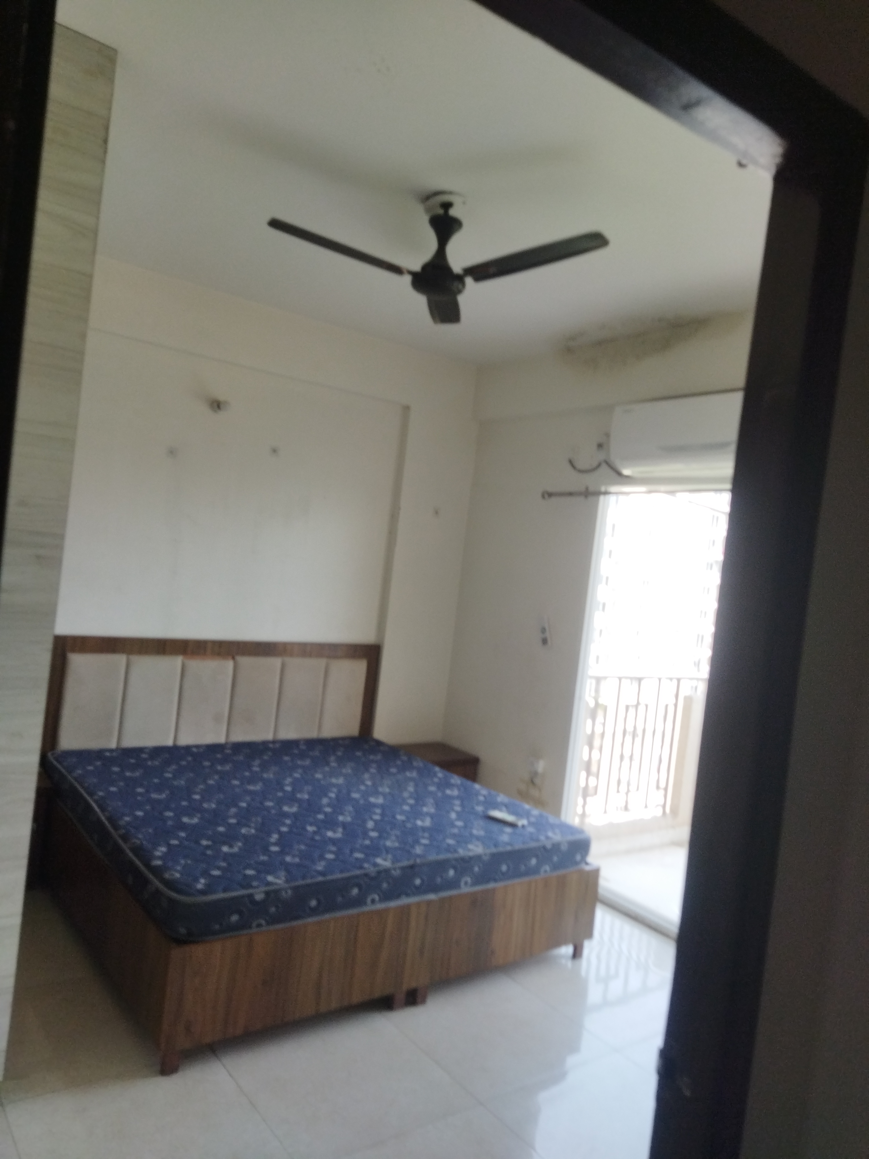 2 BHK Apartment For Rent in Signature Global Orchard Avenue