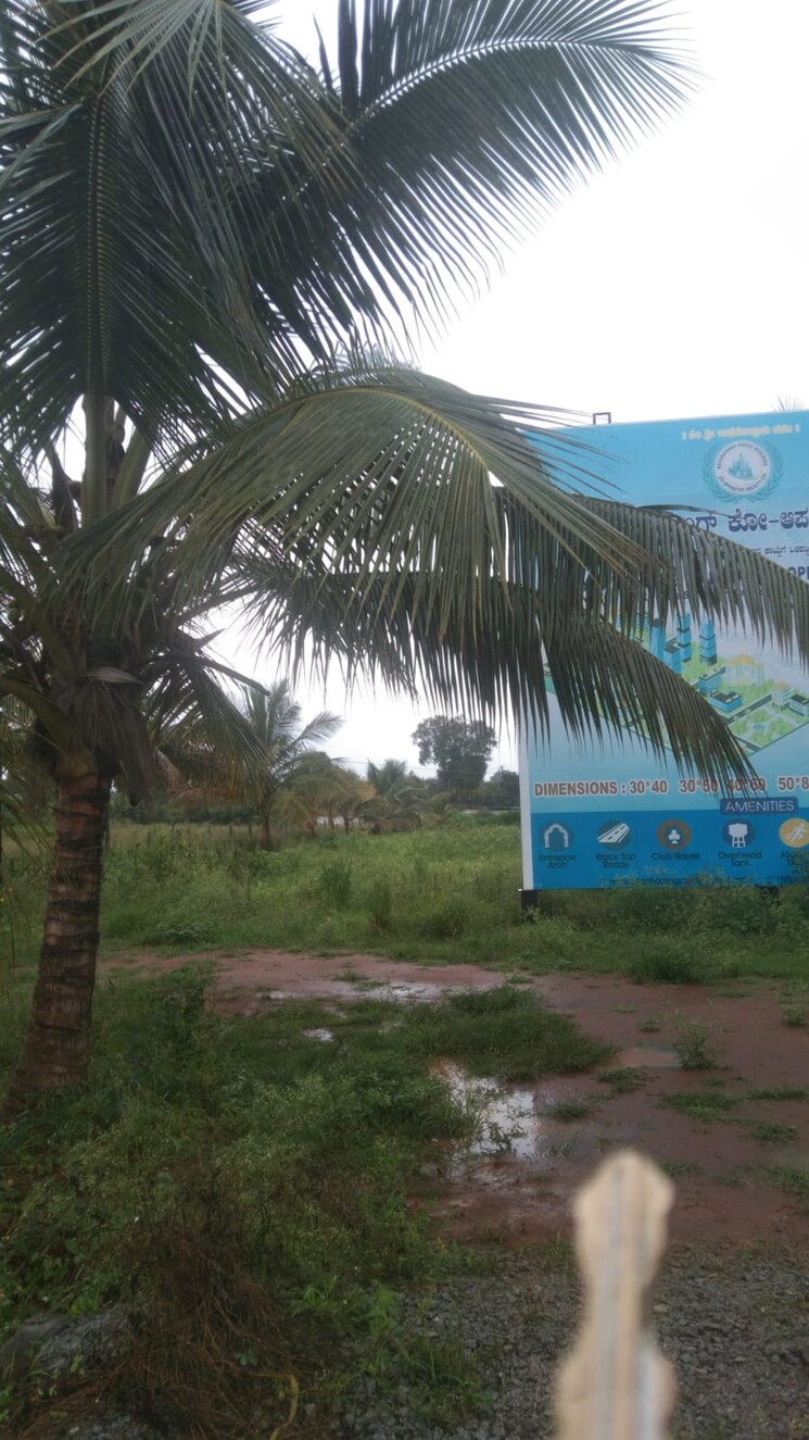 Exterior View, marasandra  1500 Sq.Ft. Plot In Marasandra Bangalore 9073398