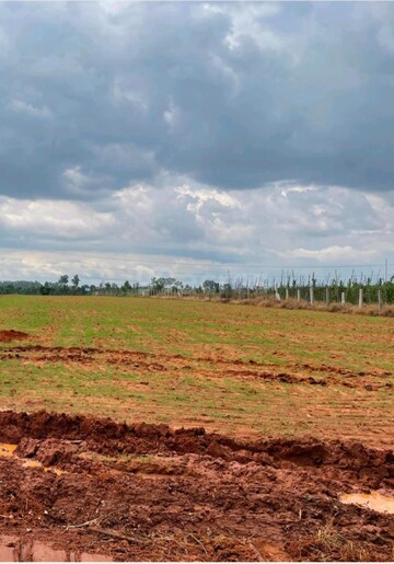 Plot Area in  Plot at Best City Layout, Rajanukunte – for Sale