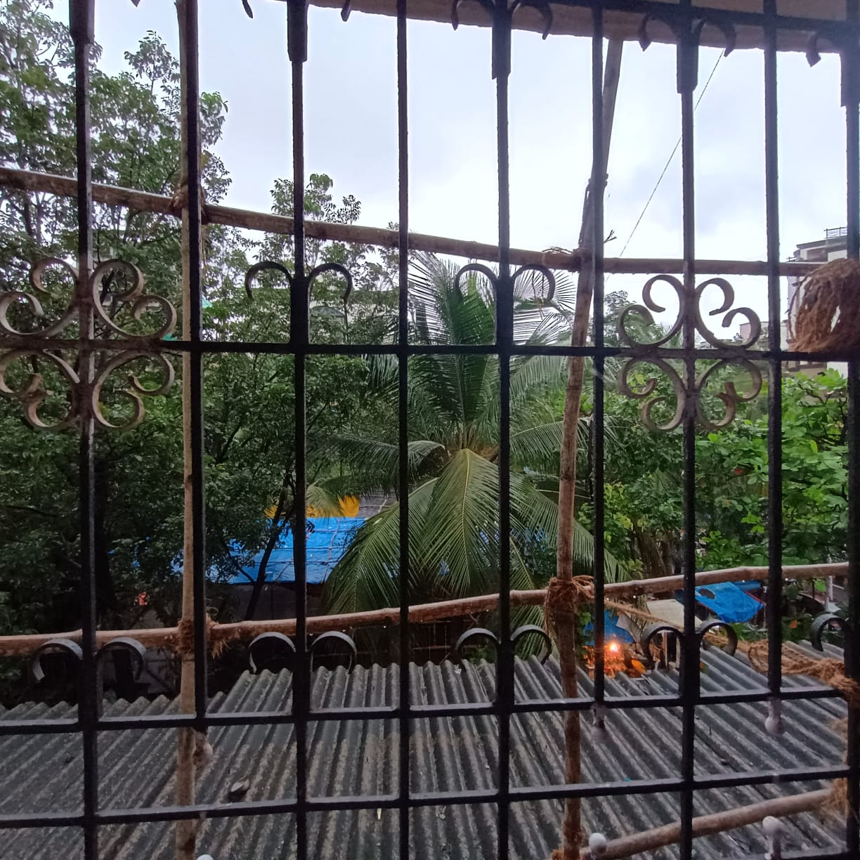 2 BHK Apartment For Sale in Olive Complex