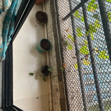 Balcony in 2 BHK Apartment at Aabhirup Apartment, Ghansoli Sector 1 – for Rent