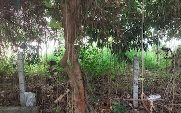 Plot For Sale in Hebbal