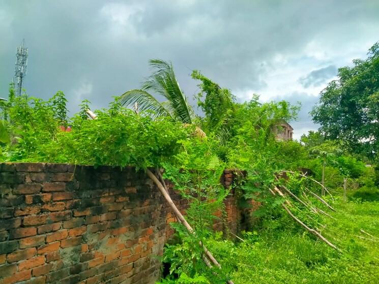 Garden, kalyani Commercial Industrial Plot 22000 Sq.Ft. In Kalyani Kolkata 9073661