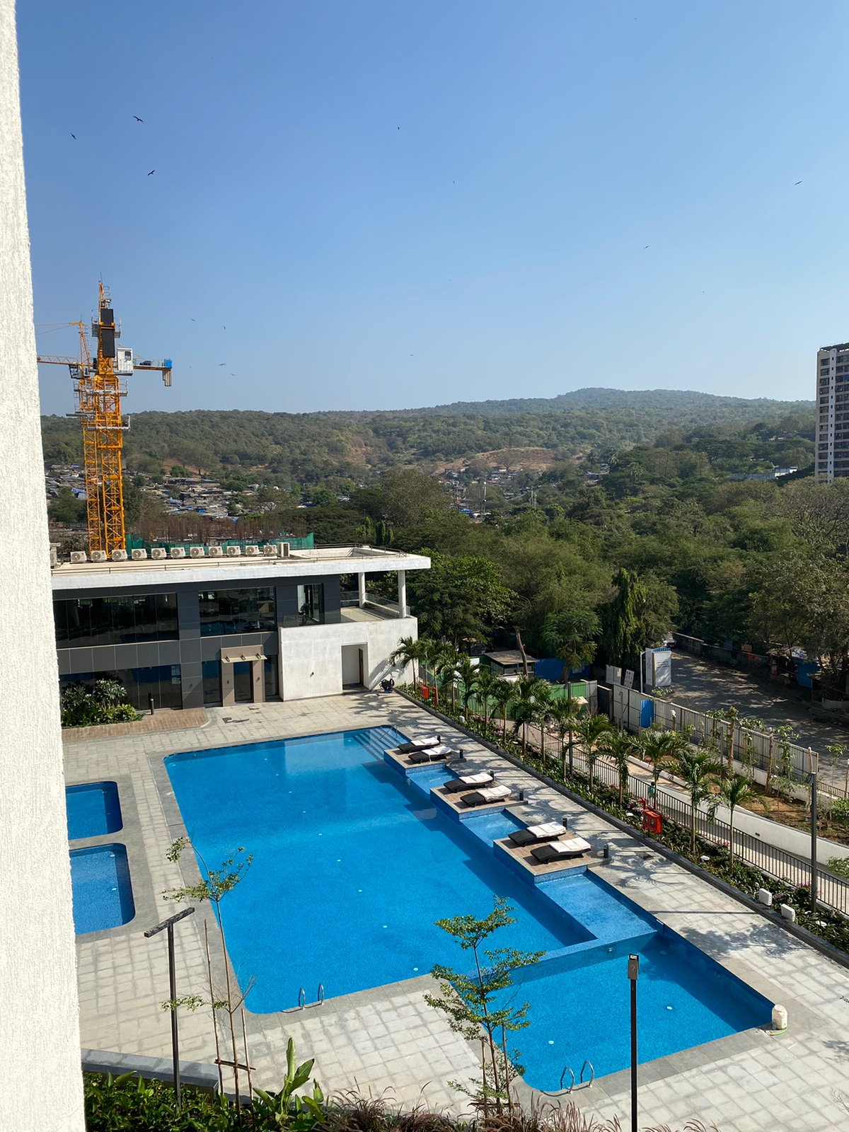 3 BHK Apartment For Rent in Lodha Woods