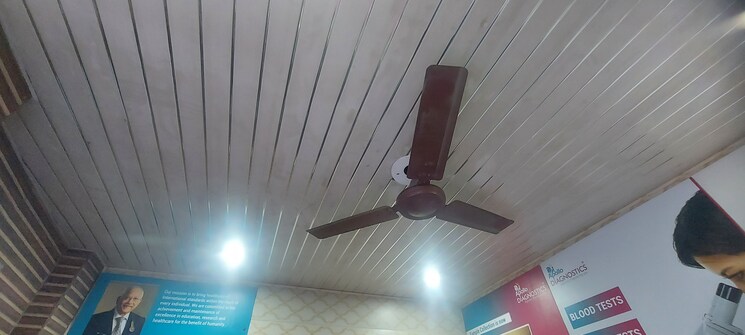 undefined, spring field colony 2.5 Bedroom 1175 Sq.Ft. Builder Floor In Spring Field Colony Faridabad 9073859