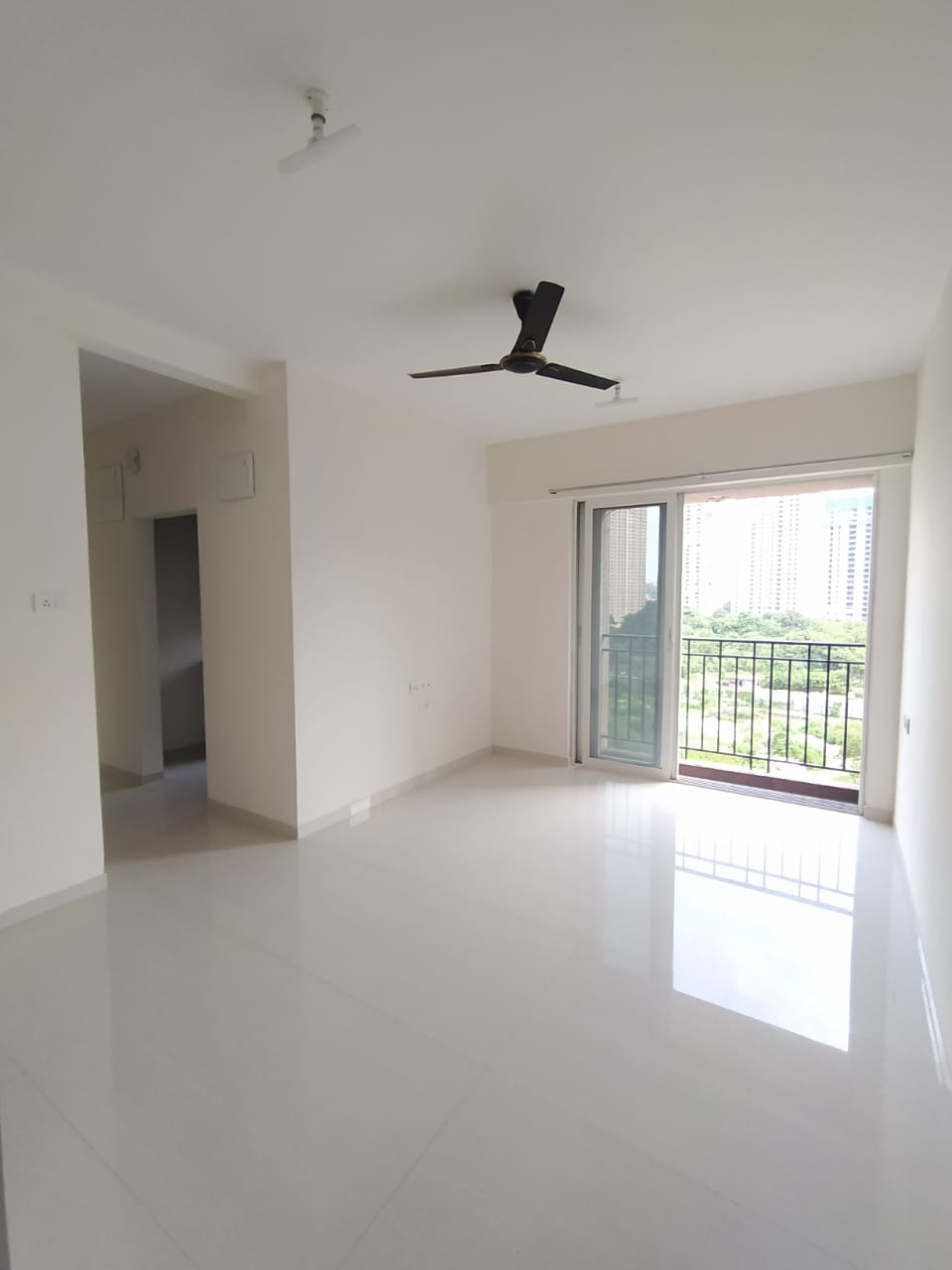1 BHK Apartment For Rent in Vijay Orovia
