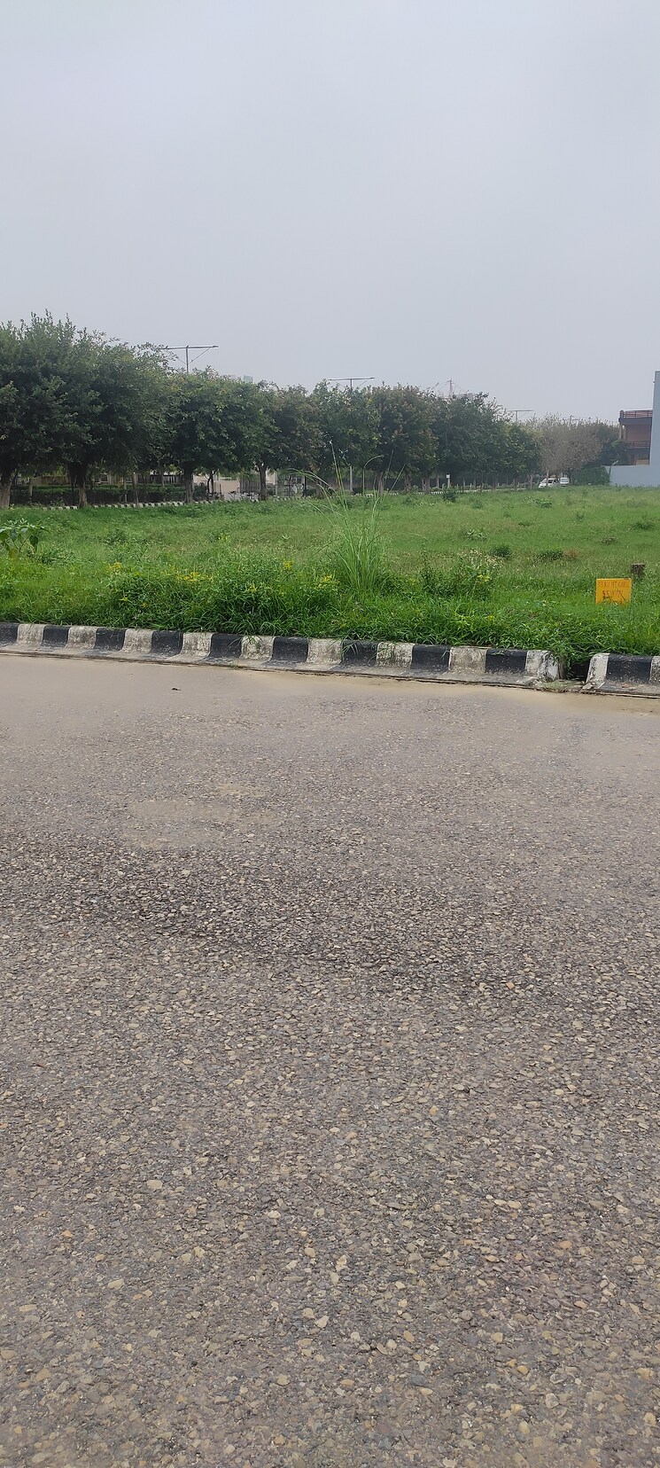 Garden, wave-springwood-enclave  240 Sq.Yd. Plot In Mahurali Ghaziabad 9073409