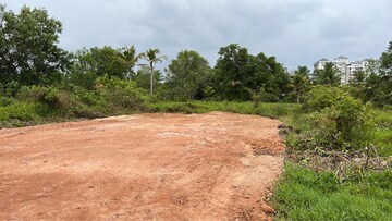 Plot Area in  Plot at Puthiyakavu – for Sale