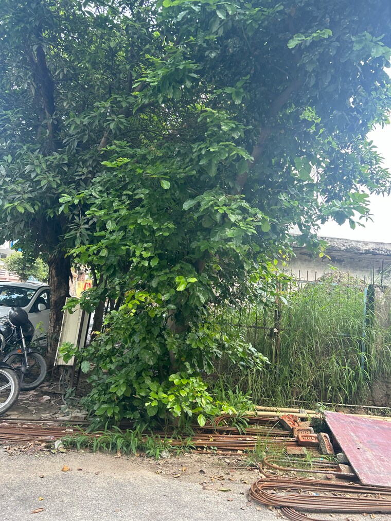 Garden, sector 105  112 Sq.Mt. Plot In Sector 105 Noida 9074914