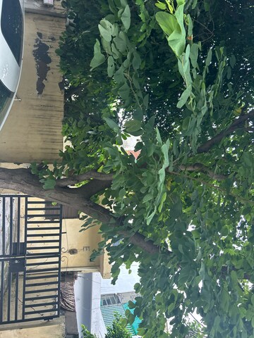 1 BHK Independent House – Exterior View View at Sector 105 - for Sale