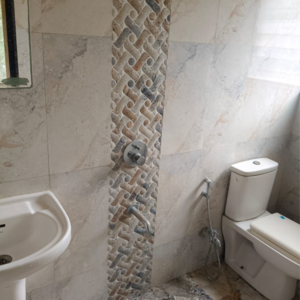 Bathroom in 2 BHK Apartment at Paramount Altissimo, Wakad – for Sale