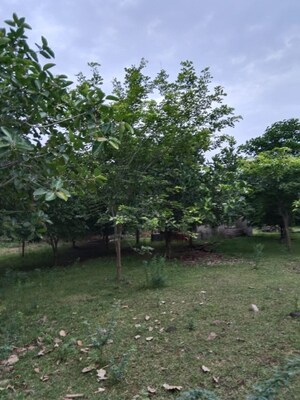  Plot For Sale in Mangalwar Peth