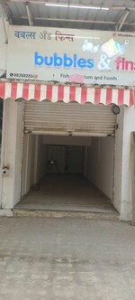 300 Sq.Ft. Retail Shop in SPS White Carnation