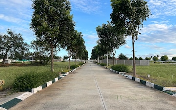 Plot For Sale in Basavanapura