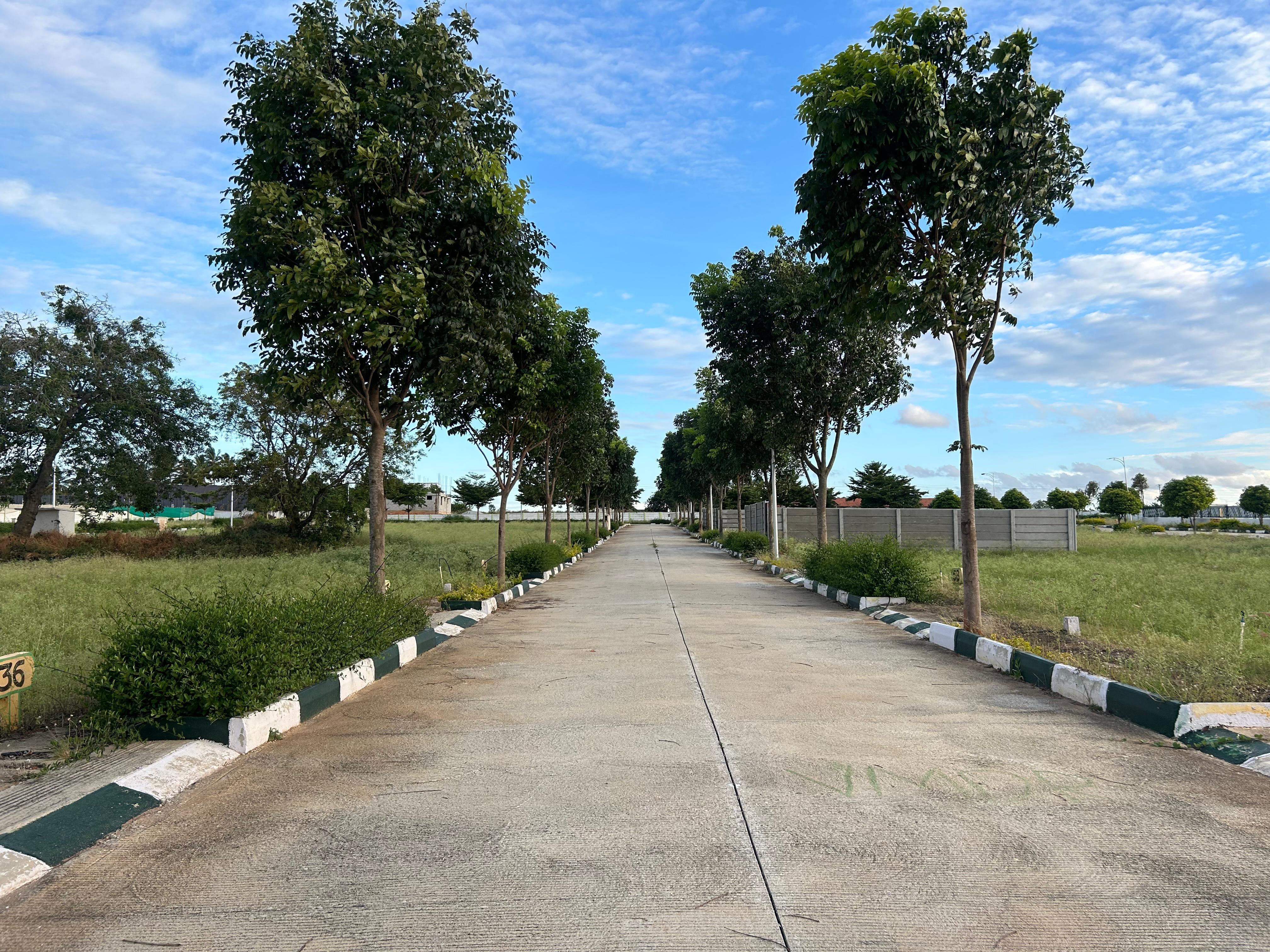 Plot For Sale in Basavanapura