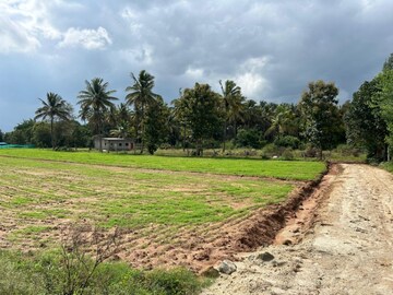 Plot Area in  Land at Kodihalli – for Sale