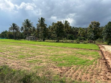 Plot Area in  Land at Kodihalli – for Sale