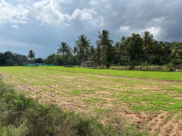 Plot Area in  Land at Kodihalli – for Sale