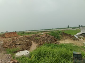 Plot Area in  Plot at Rohta Road – for Sale