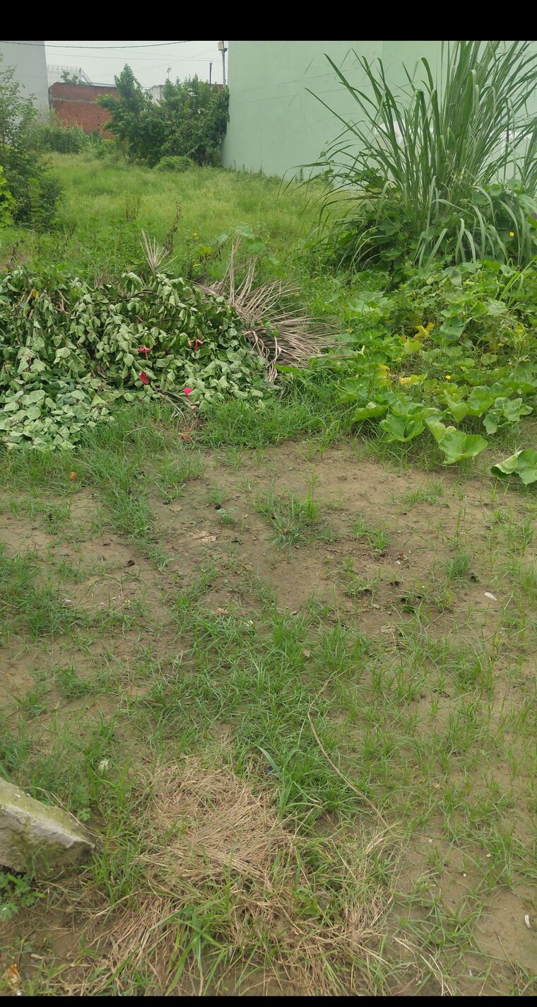 Garden, kanha-greens  150 Sq.Yd. Plot In Modipuram Meerut 9075870