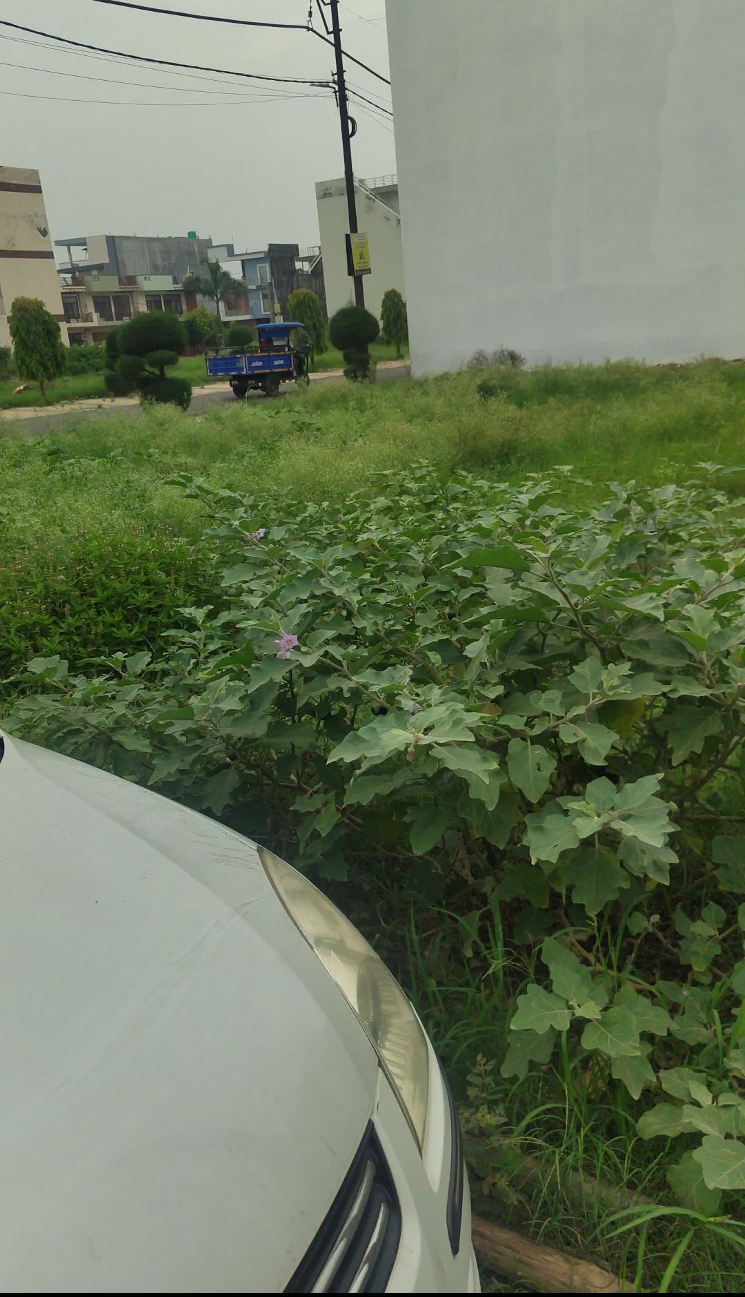 Plot For Sale in Kanha Greens