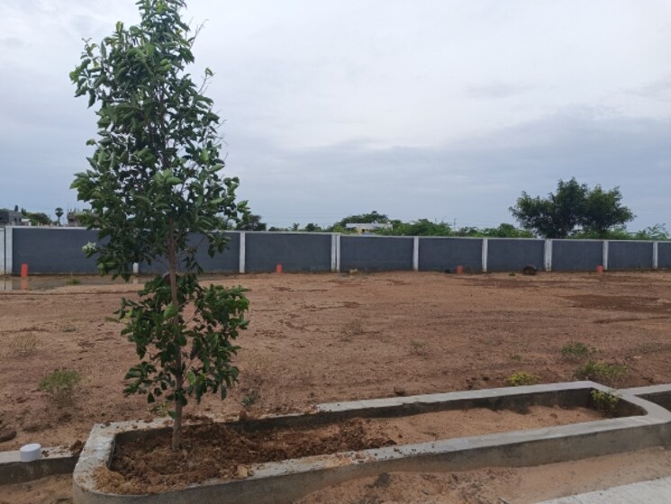 undefined, thiruverumbur  1500 Sq.Ft. Plot In Thiruverumbur Trichy 9076107