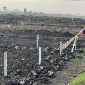 Plot Area in  Plot at Mangalagiri – for Sale