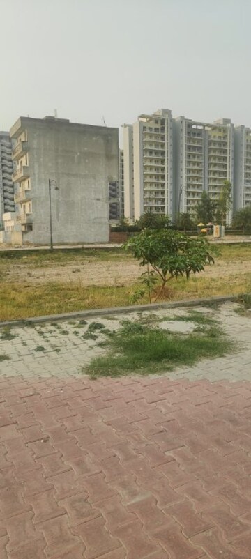 Plot Area in  Plot at TDI City Kundli, Kundli – for Sale