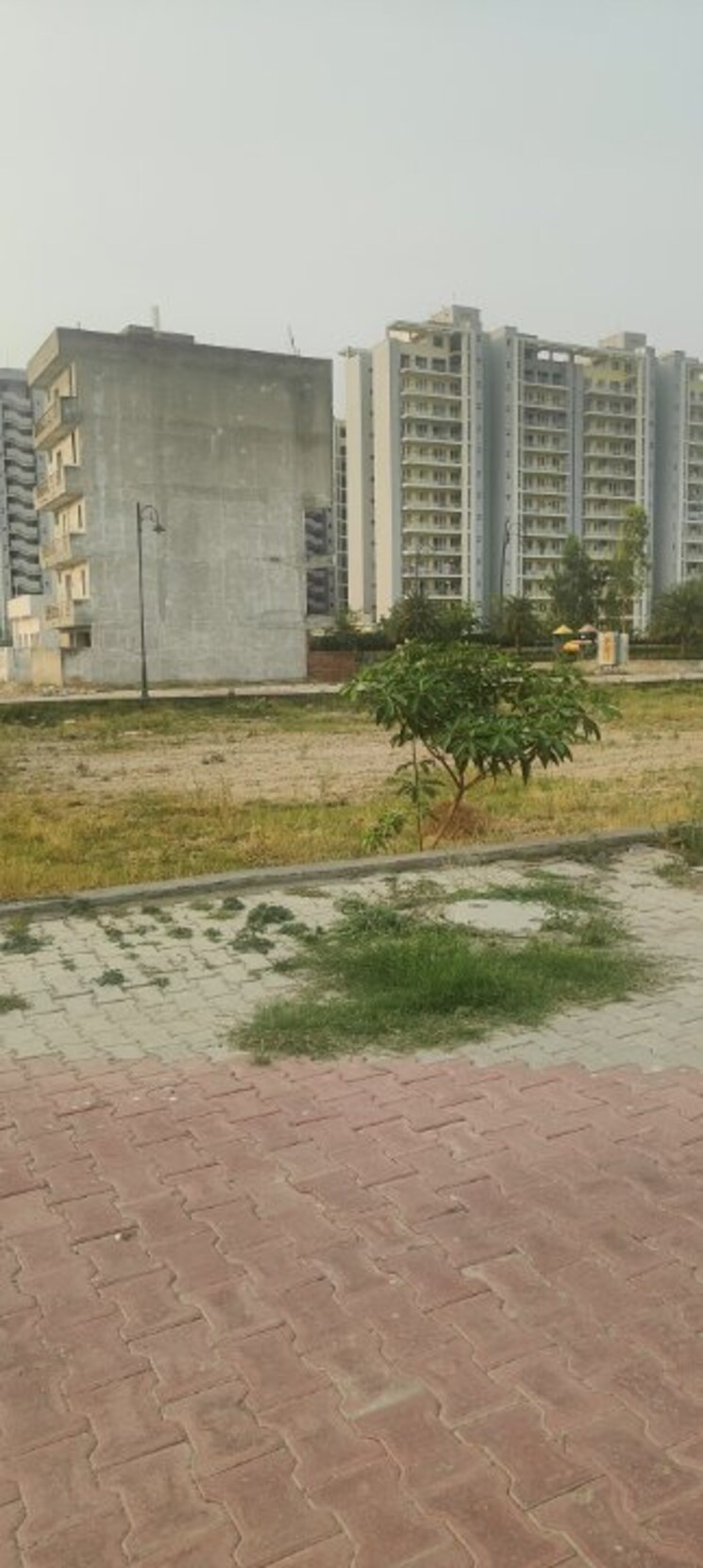 undefined, tdi-city-kundli  250 Sq.Yd. Plot In Kundli Sonipat 9076139