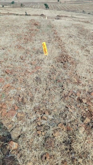  Land For Sale in Narayankhed