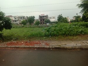  Plot For Sale in DLF Hyde Park, South Mullanpur