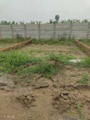  Plot For Sale in Rohta Road